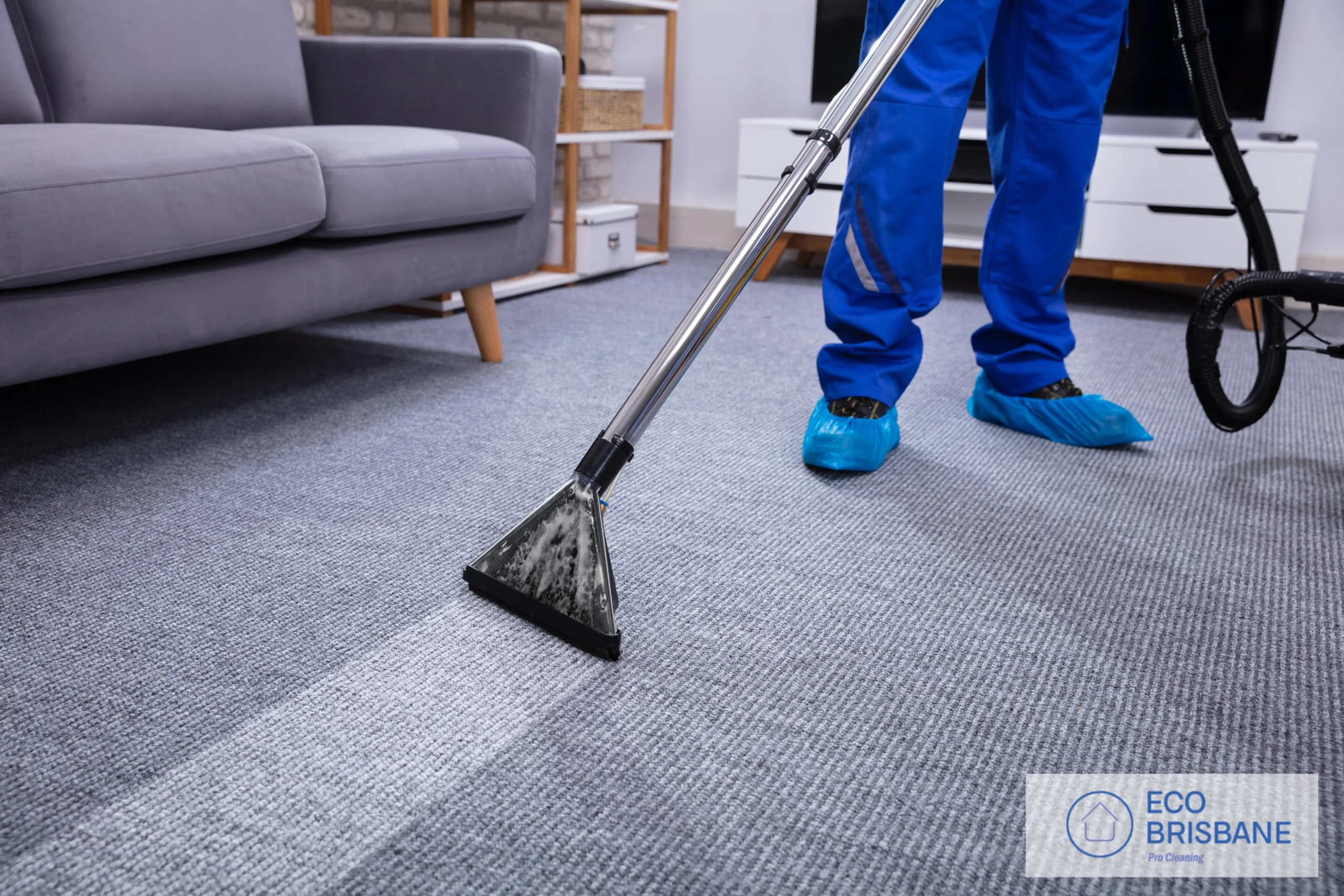 Carpet Cleaning